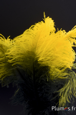 Autruche - 30-40 cm - vert sapin-jaune